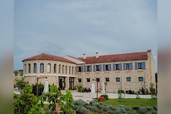 В гостях у виноделов: Шато Андре