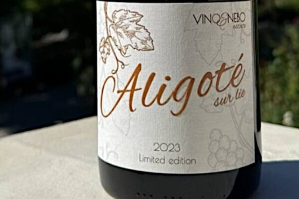 Где купить Алиготе Сюр Ли 2023 от «Вино и небо»
