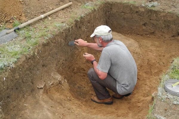 Установлены факторы, мешающие виноделию в Крыму