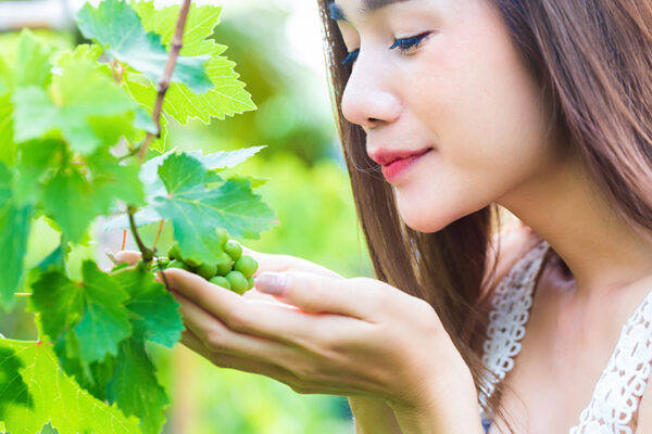 Развитие энотуризма требует транспортной доступности – эксперт