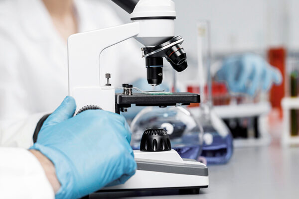 Гены водоросли сделали виноград морозоустойчивым