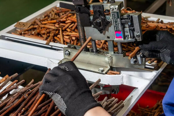 «Абрау-Дюрсо» открыла питомник на 2,5 млн саженцев