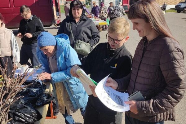 Амосовский школьный виноградник провел бесплатную раздачу саженцев