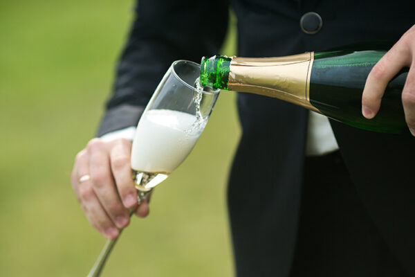 Бесплатный обучающий курс от Комитета Шампани