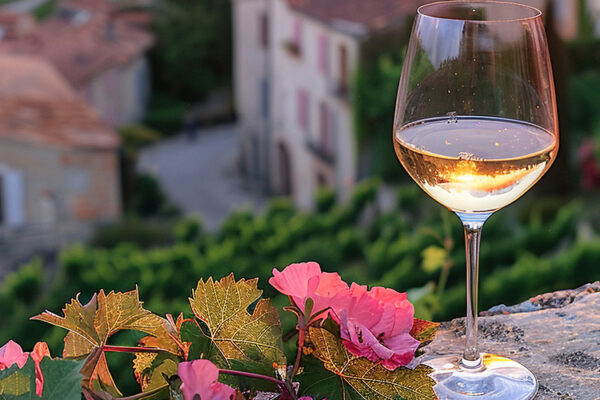 Культуре виноделия на Кубани более 2,5 тыс. лет – Ступко