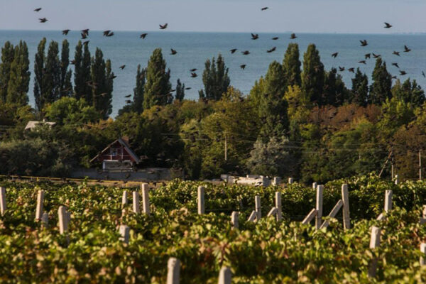 Инкерман проигрывает в затяжной войне