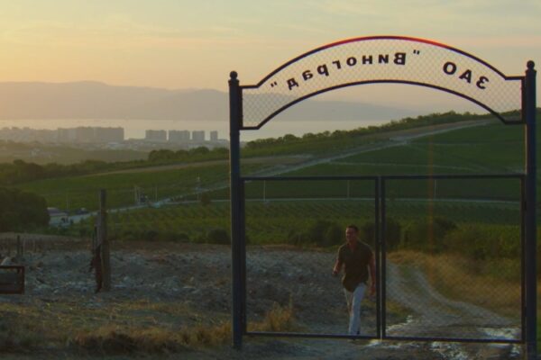 Павел Прилучный станет владельцем виноградников в Анапе