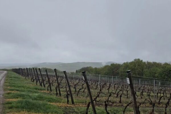 «Собер Баш» присоединился к программе «Бережливый регион»