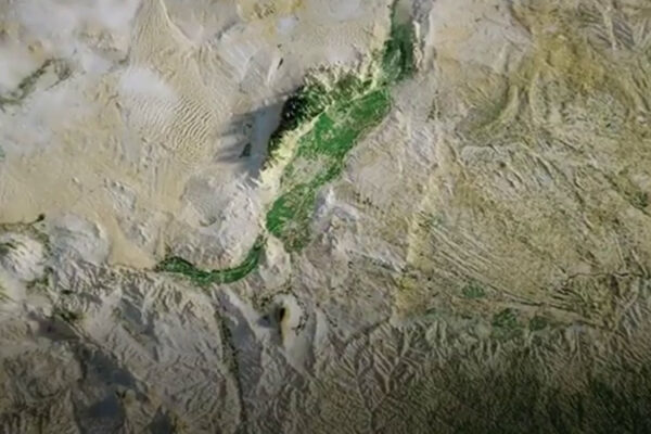 В КНР закрытые шахты стали виноградными фермами