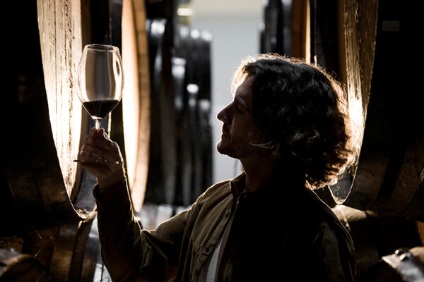 Виноделие могут отнести к креативным индустриям