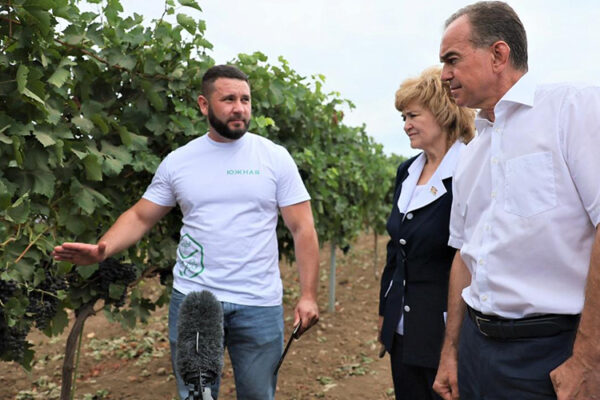 Власти Кубани осмотрели агрофирму «Южная» и центр энологии «Шато Тамань»