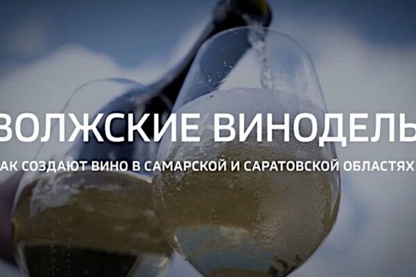 Советуем посмотреть: фильм Д.Ганиевой о российском северном виноделии