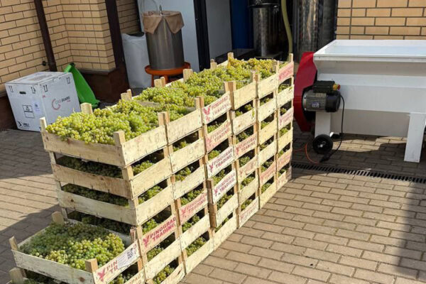 Приглашаем в поездку: «Шато Петровское» (Московская область)
