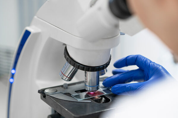 Курчатовцы научились инструментально определять хороший год для вина