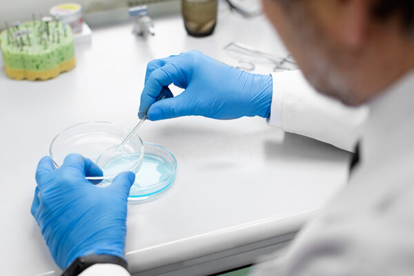 Разработана технология, спасающая виноград от вирусов