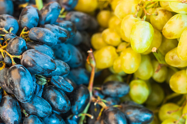 Глава «Фанагории» призвал подстраховать виноделов в случае суперурожайных лет